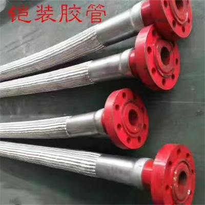 铠装油田胶管